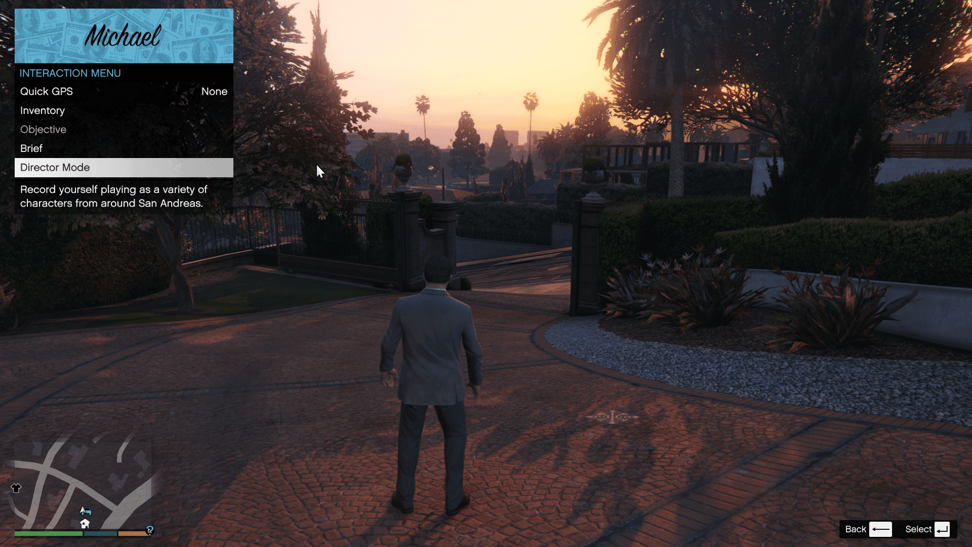 Director Mode as seen in the Interaction Menu